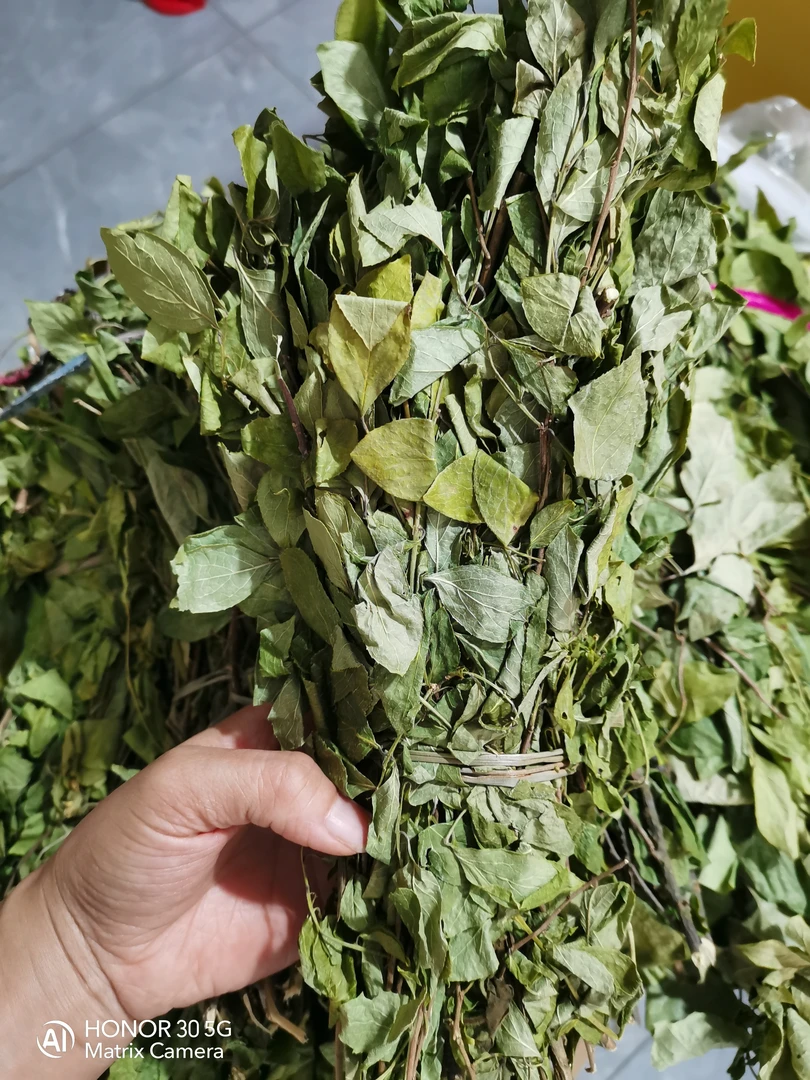 莆田端午节干蛋草