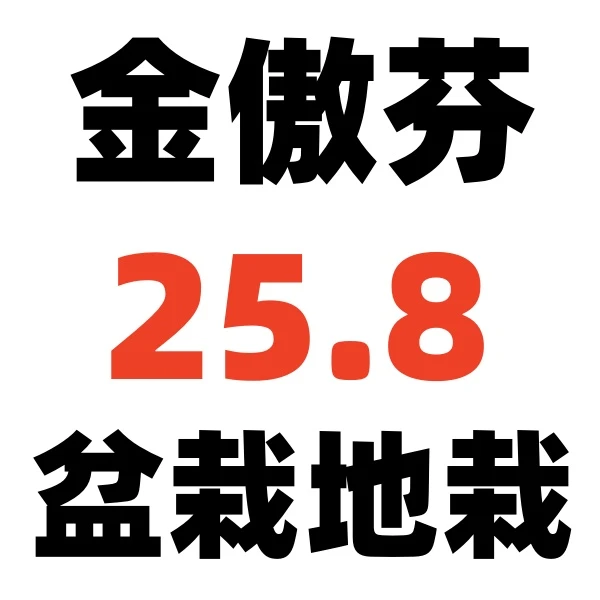 金傲芬 带果芽带果发货  盆栽地栽都可以  果大甜