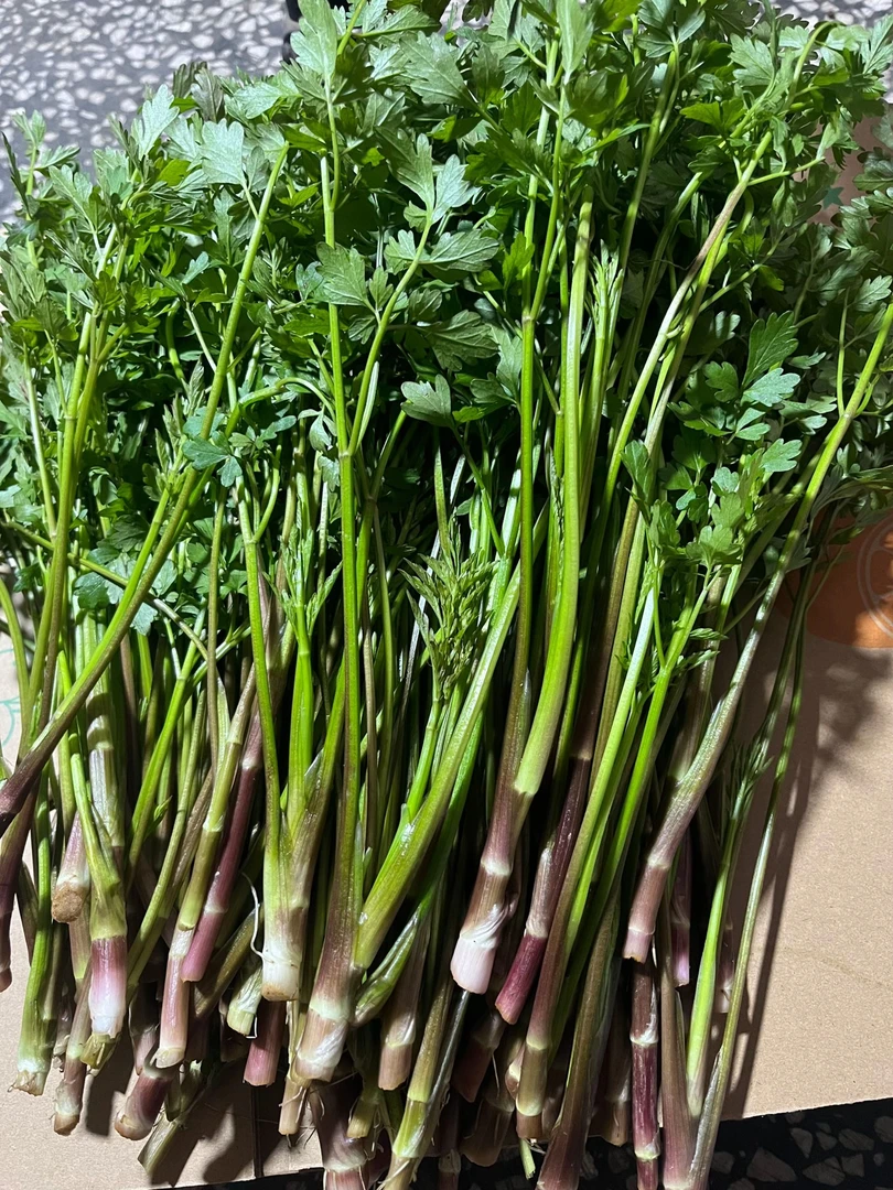 野生水芹菜现摘野芹菜野菜新鲜水芹菜蔬菜湖南青色红色随机发货