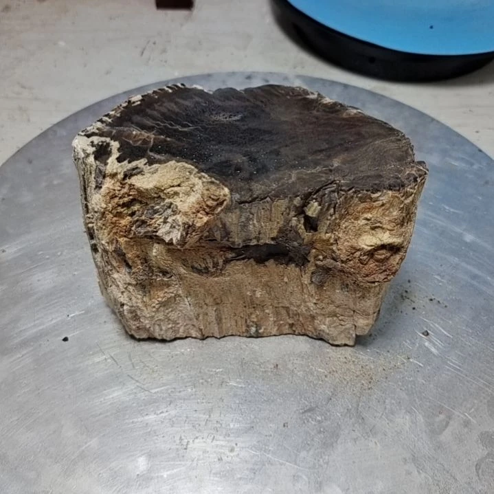 用***1石材新疆奇台硅化木 木化石，树化石，树化玉。
