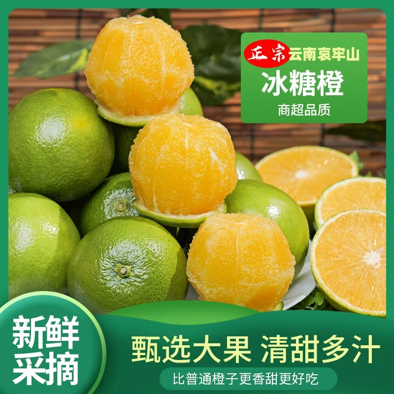 【云南哀牢山冰糖橙】 应季新鲜头茬水果现采现发 皮薄多汁