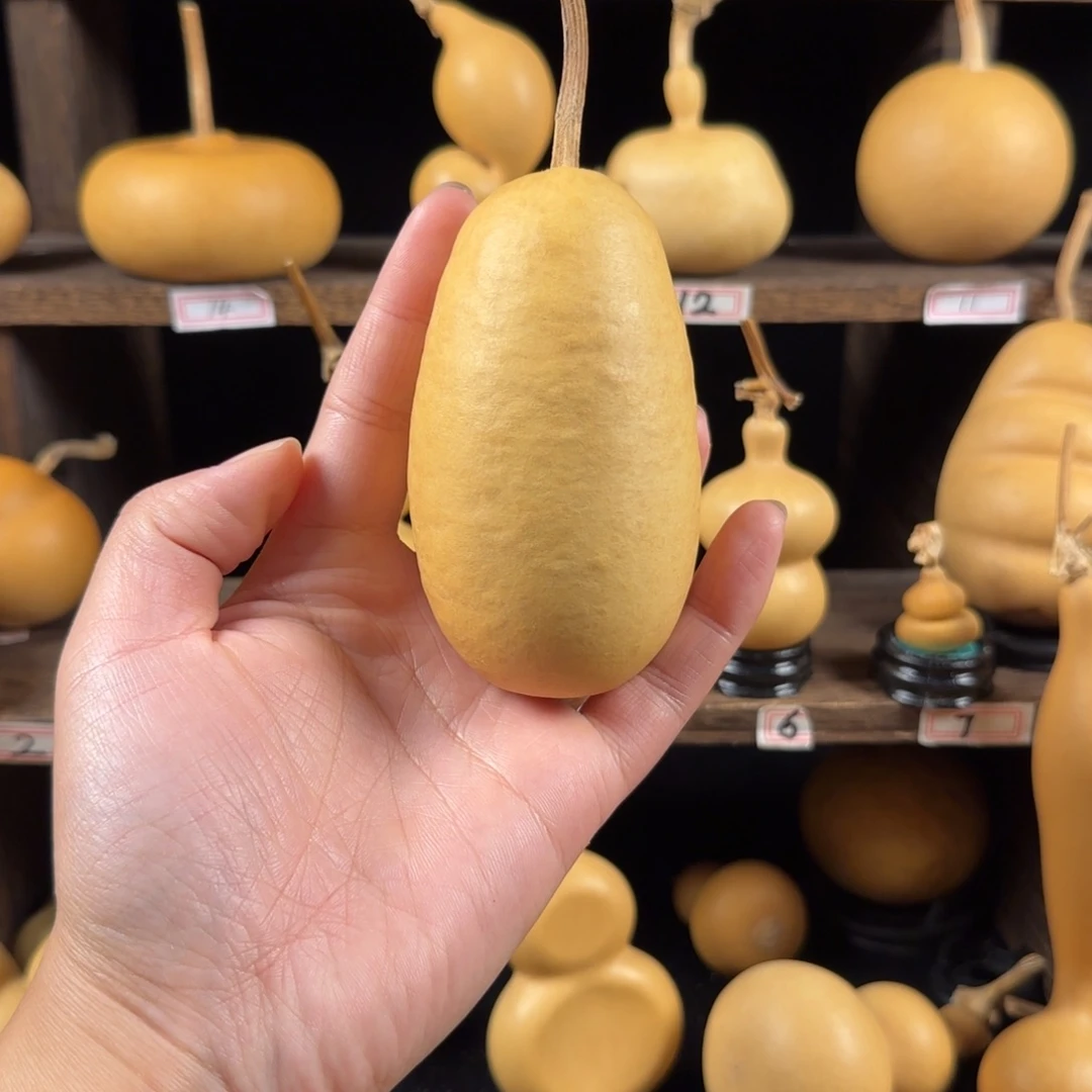 山***丽葫芦葫芦葫芦葫芦葫芦葫芦