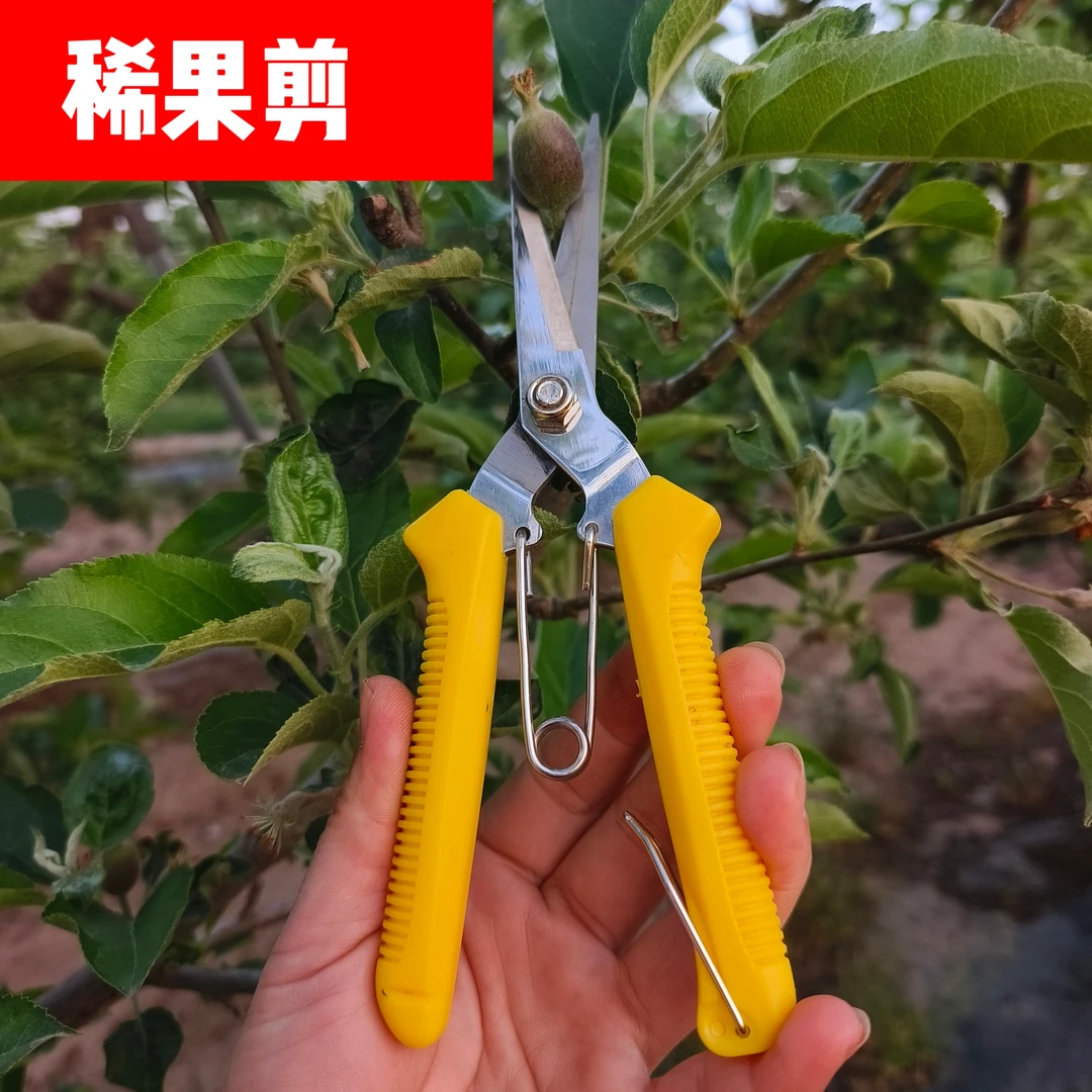 稀果剪疏花疏果剪果园园艺剪刀修枝剪葡萄修枝便捷