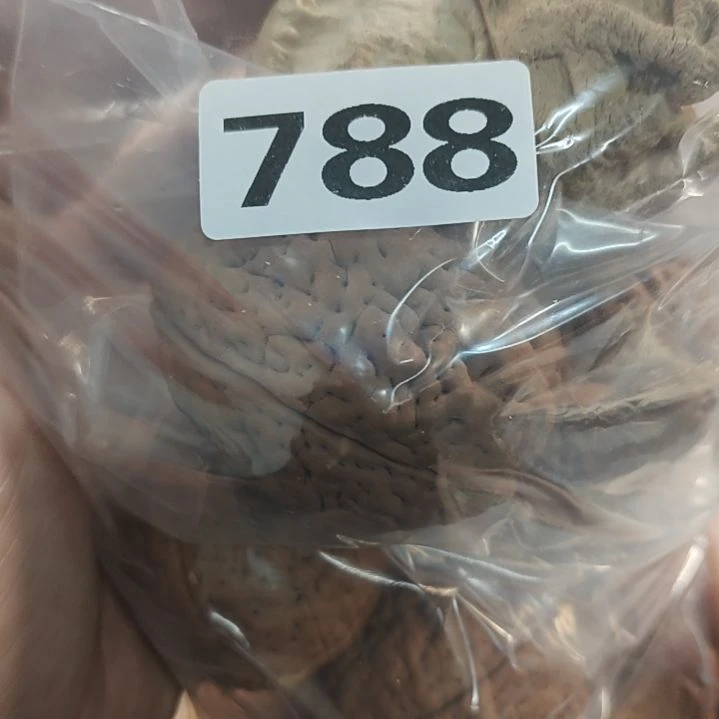 文玩核桃吊坠文*文玩核桃