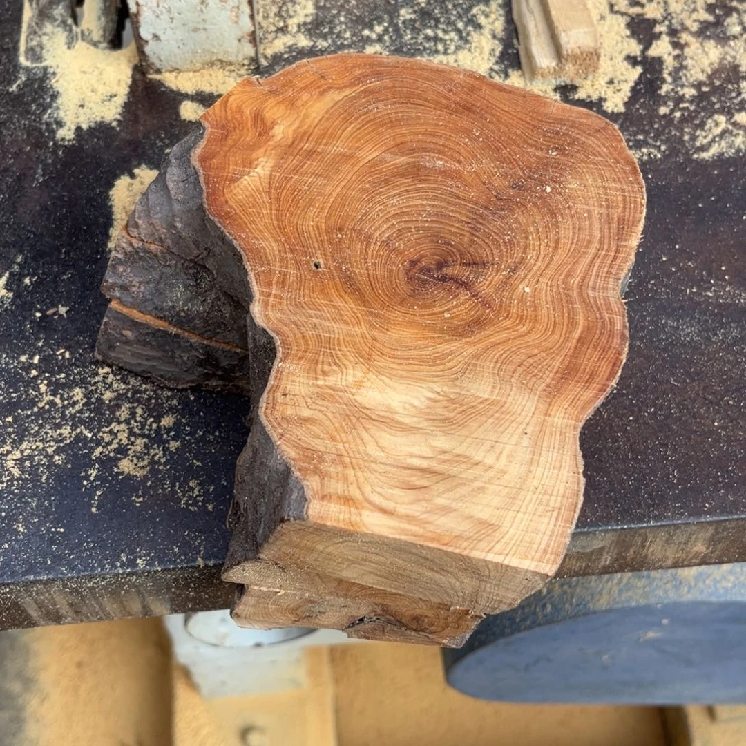 柏木（崖柏）南太行崖柏切片大片