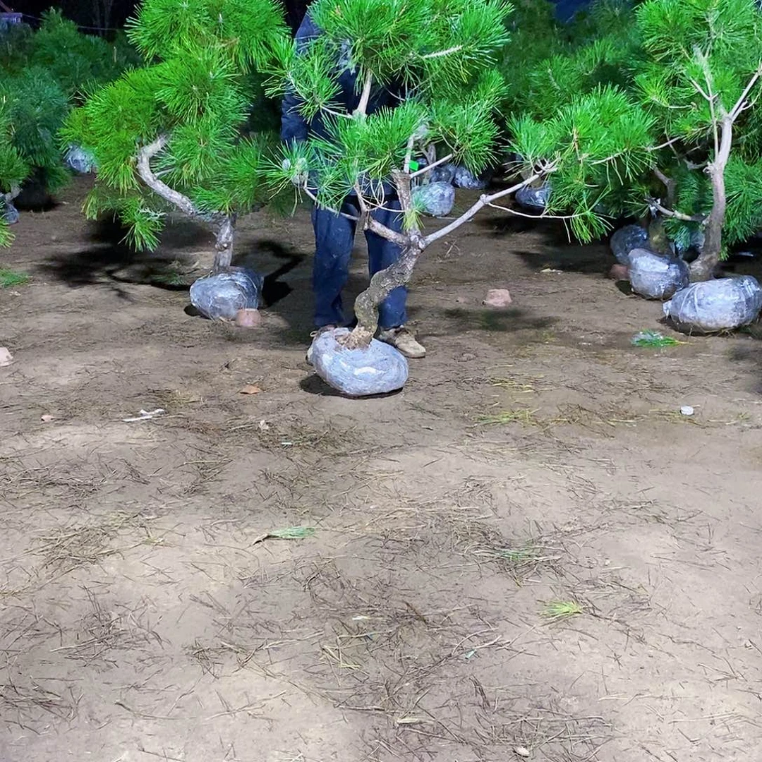 @***.完全开放22222222222222222