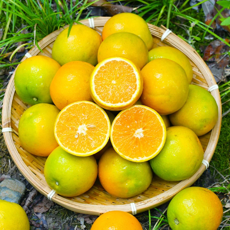 云南哀牢山冰糖橙花斑果整箱9斤低糖爆汁个别带微酸皮薄肉厚应季L