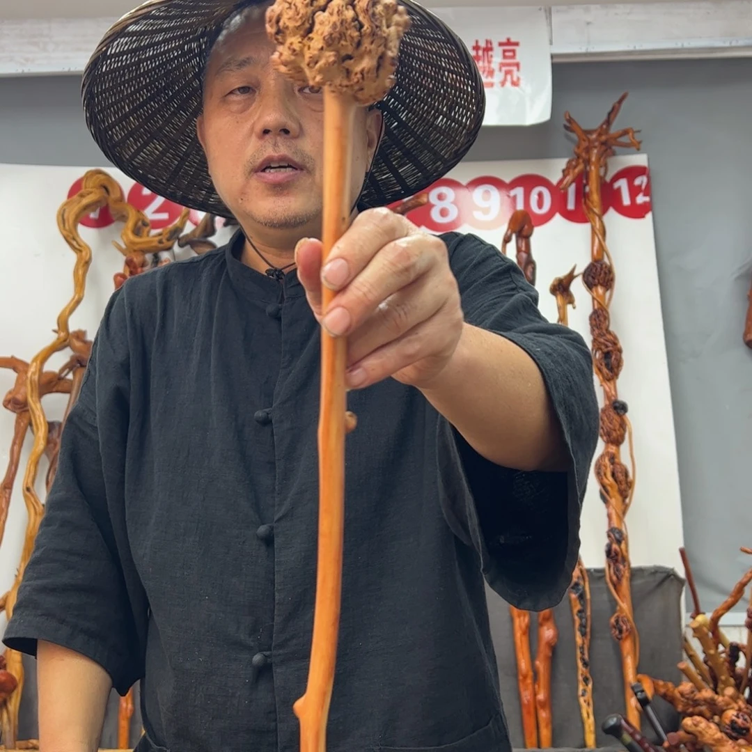 黑果木其他黑果木854