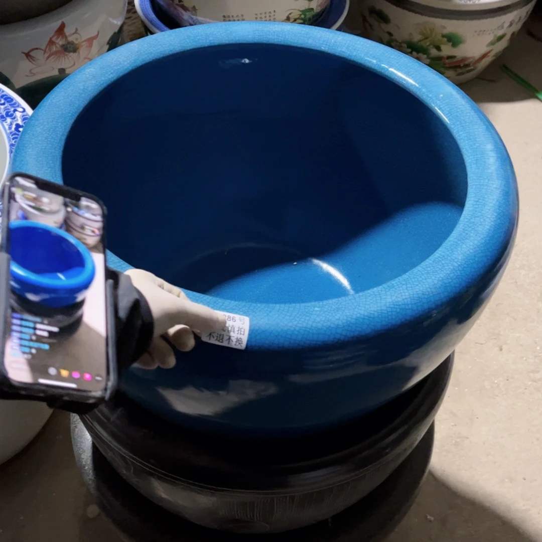 瓷片2286号8888888888888888