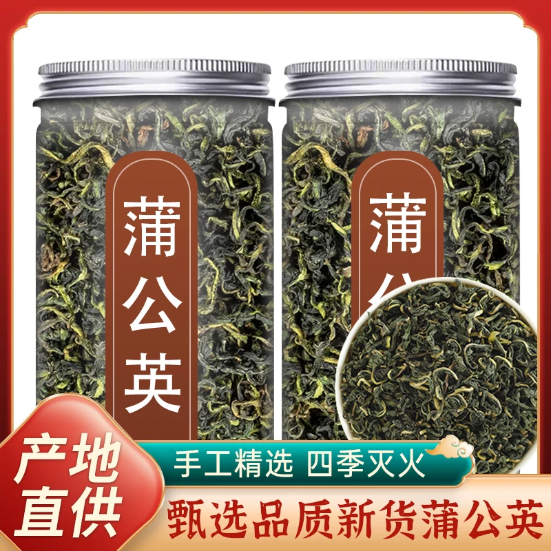 新货长白山蒲公英茶罐装别名白鹁鸪谷谷丁婆婆丁花草茶叶泡水