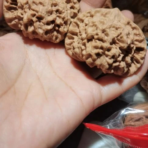 猴头核桃吊坠53龙鼎官帽