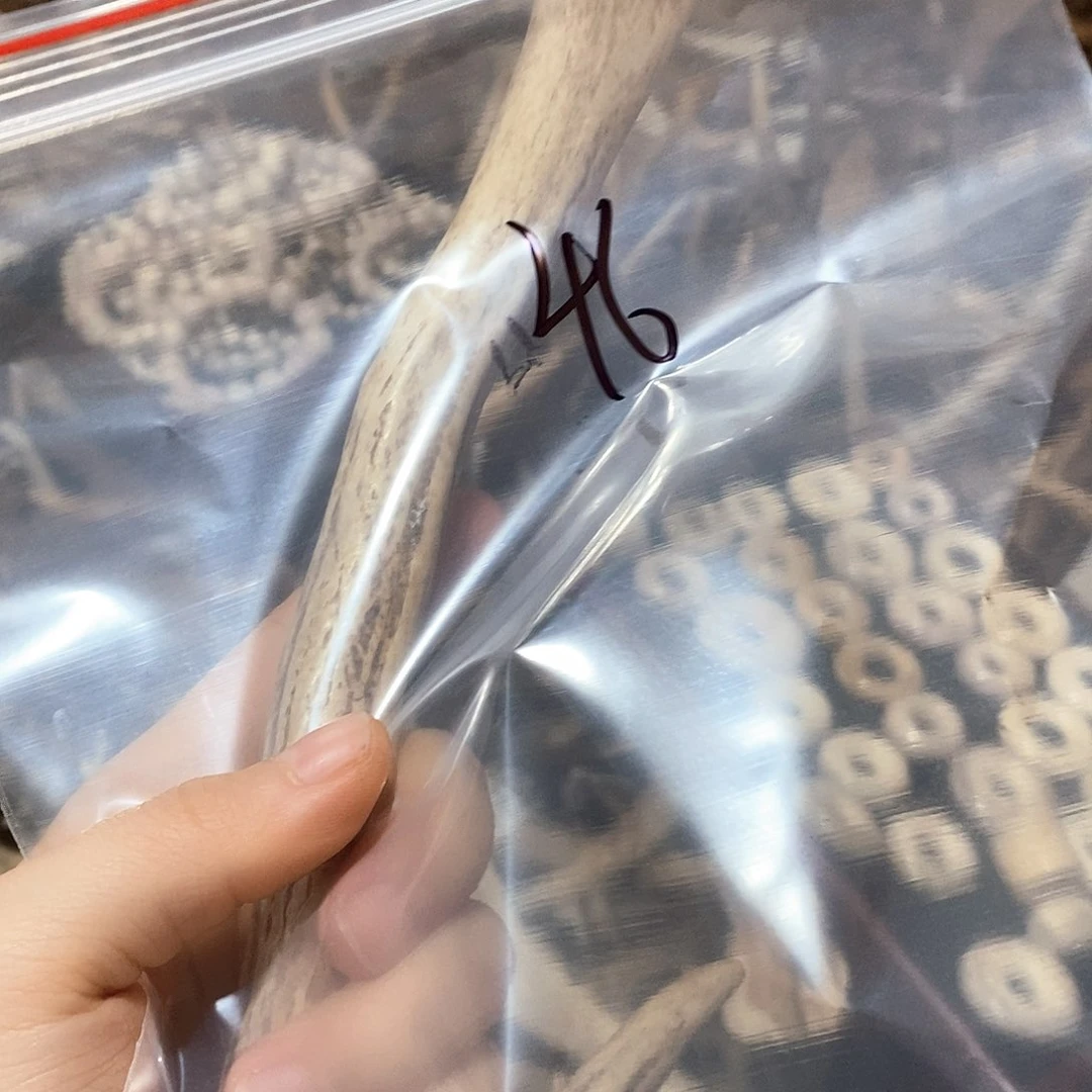 鹿角鹿角鹿角鹿面鹿