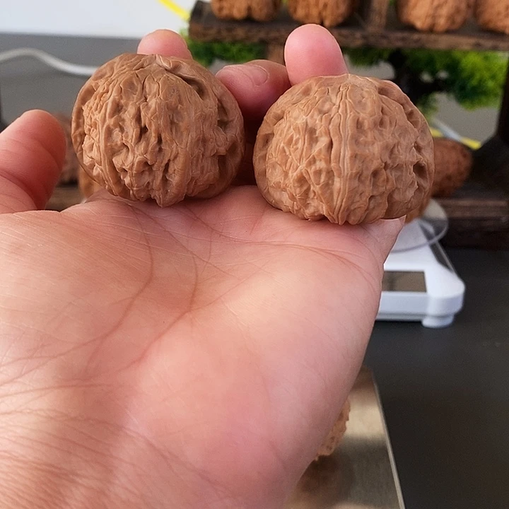 把件文玩核桃白狮子44大尺红皮果