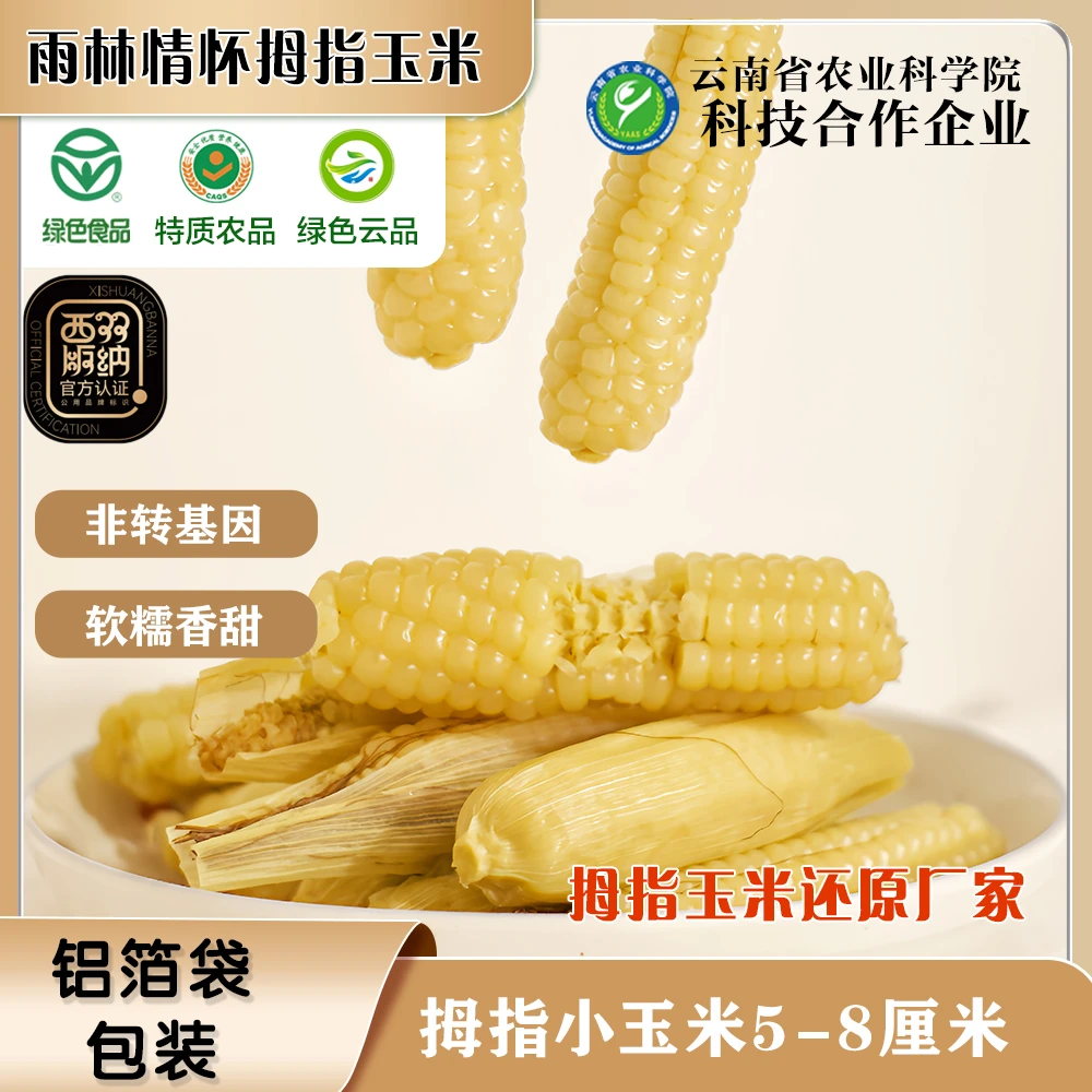 雨林情怀绿色食品拇指小玉米云南特产香甜手指玉米棒正宗拇指玉米