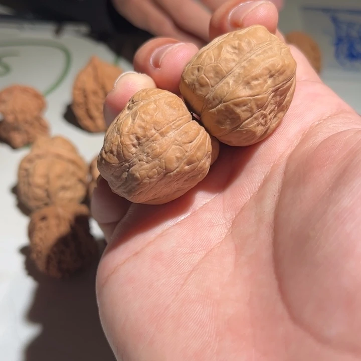 吊坠文玩核桃玉蟾