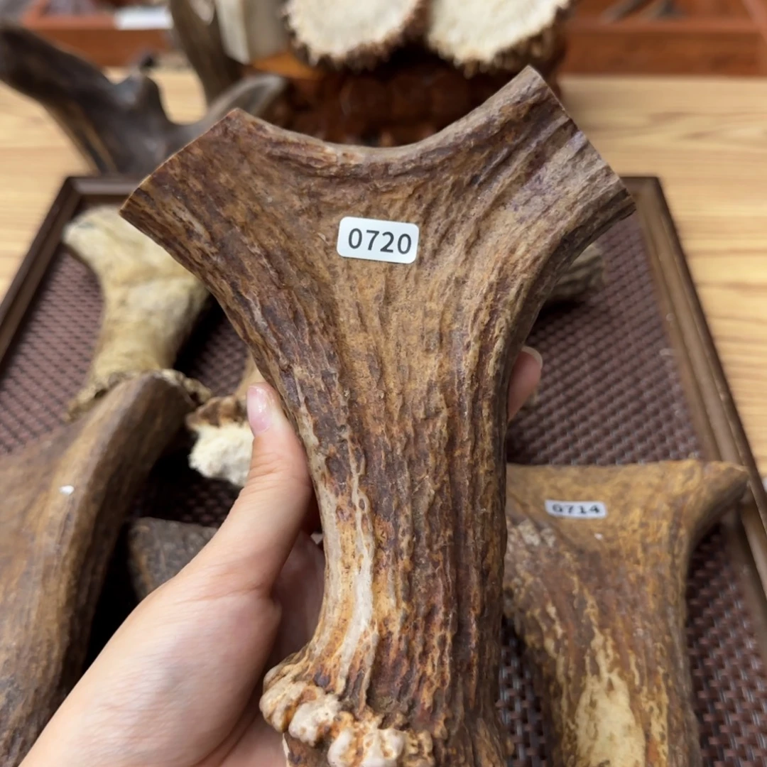 鹿骨其他0720弹弓17.5×13×4.2cm