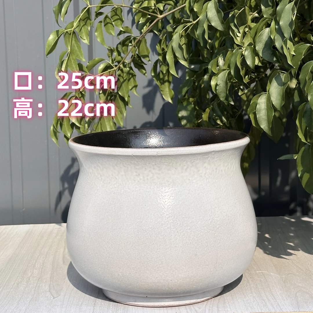 复古大号老桩多肉盆白色粗陶绿植陶罐大口径圆球盆蝴蝶兰陶瓷花盆