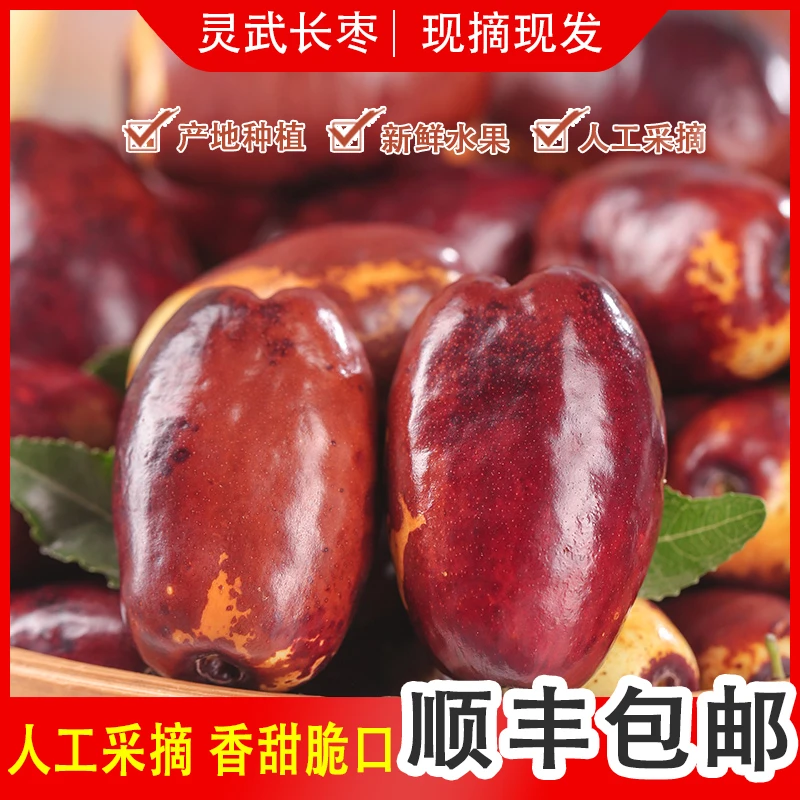 【顺丰包邮枣王送礼】现摘宁夏灵武长枣脆甜新鲜水果枣子皮薄肉厚