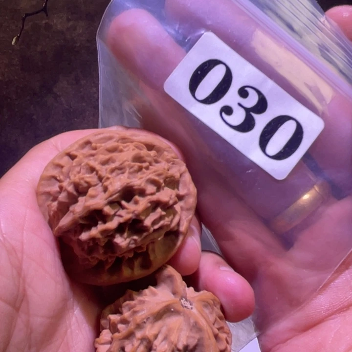 吊坠文玩核桃030野生40