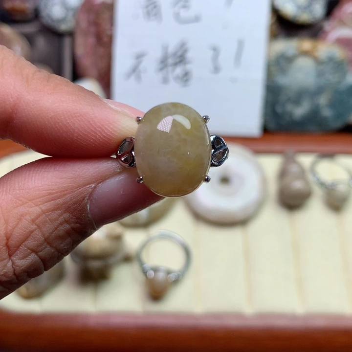 硅化珊瑚（珊瑚玉）颈饰未镶嵌