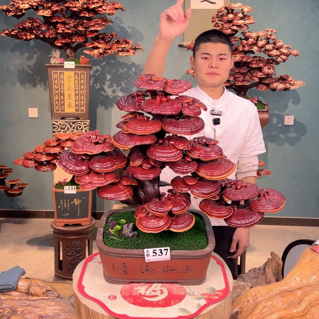 无花朵8888888888888