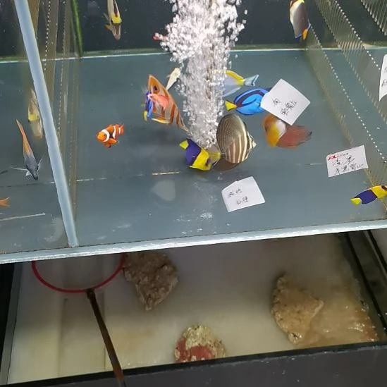 六间仙，半黑背心各一条