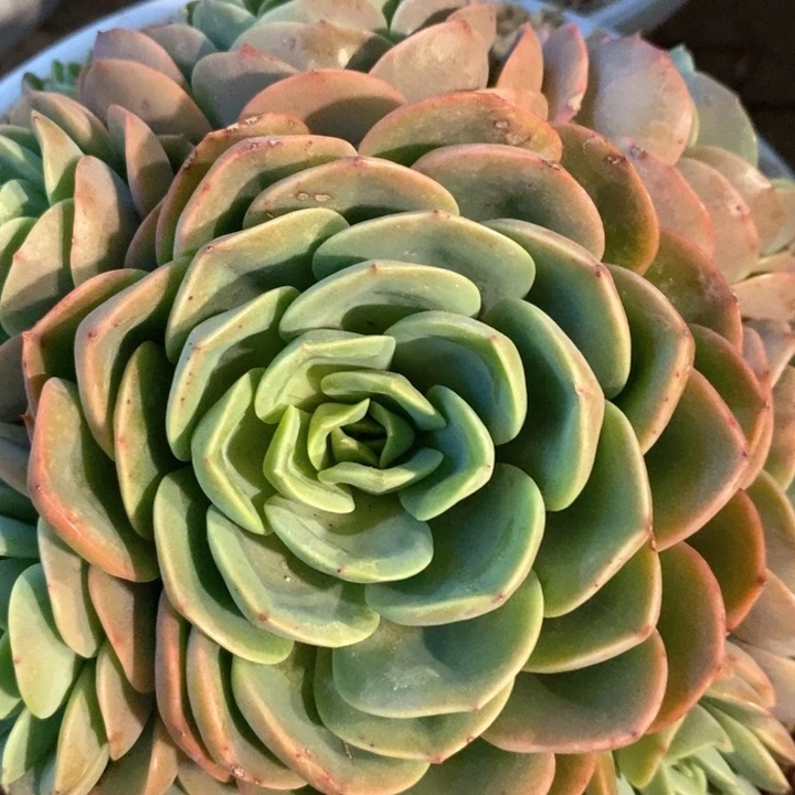 婷*我是真的很喜欢