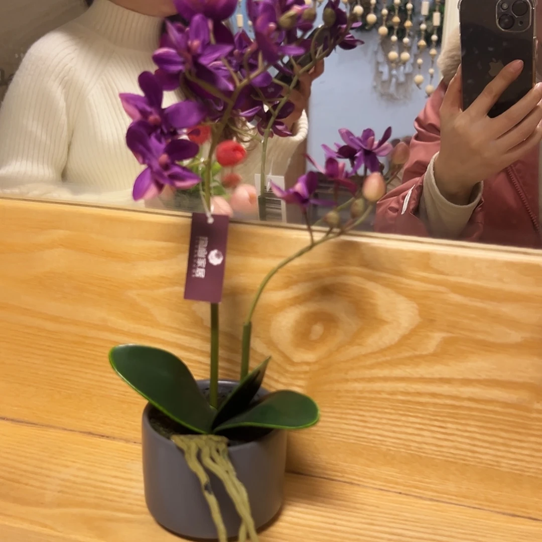 抖音直播福利一盆