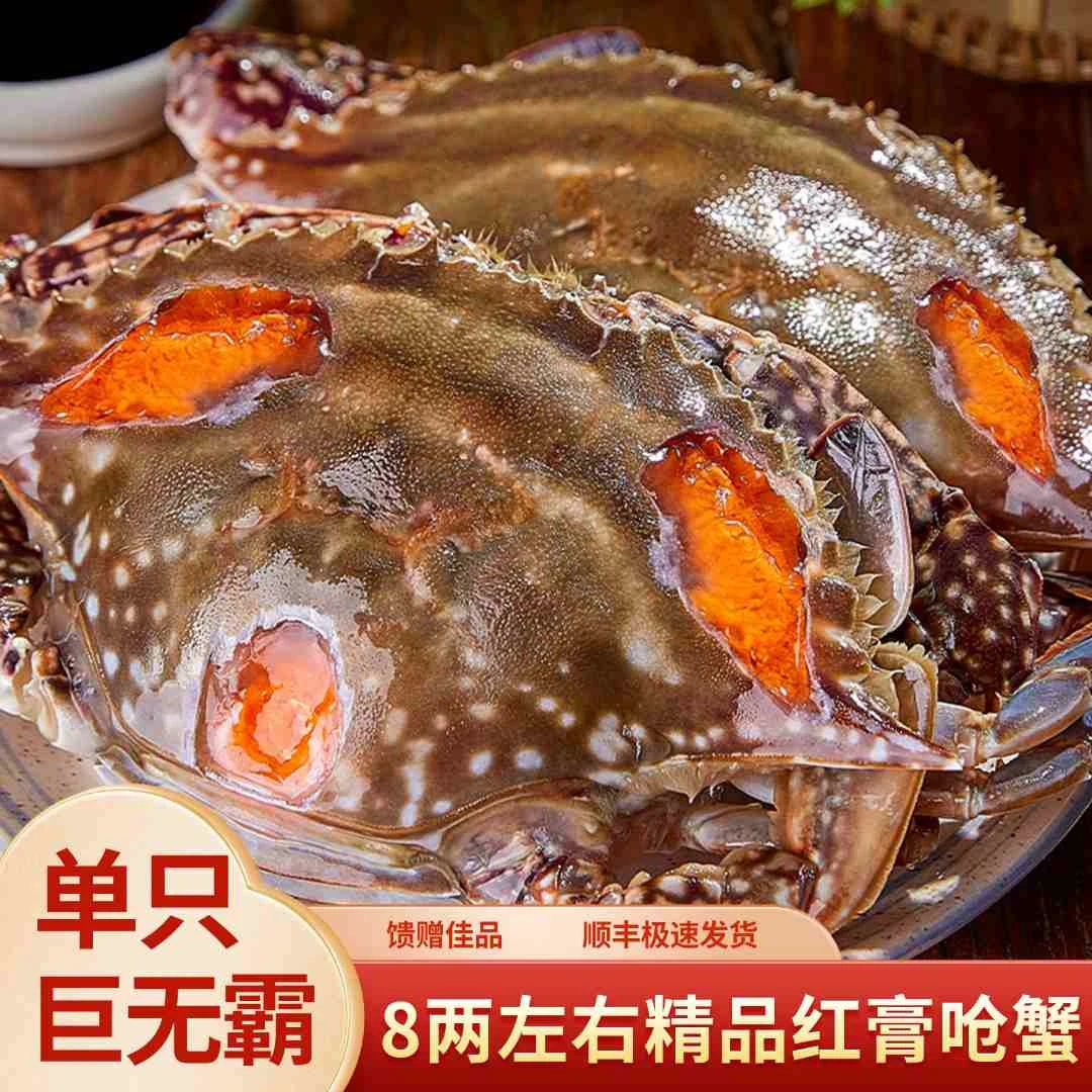 【飞机红膏】8两一1斤/只精品巨无霸红膏呛蟹正宗舟山咸炝蟹