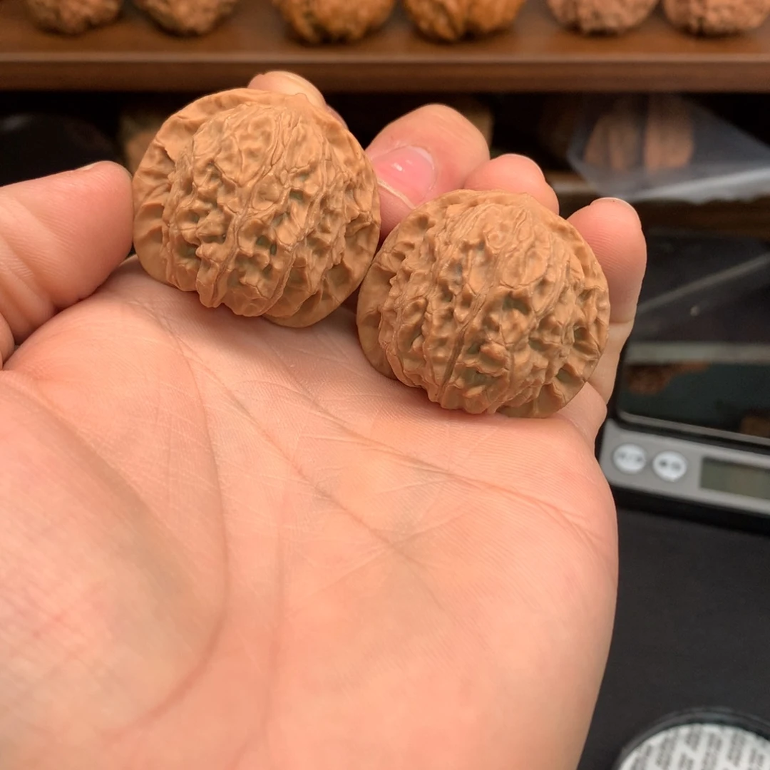 文玩核桃手串37红豆