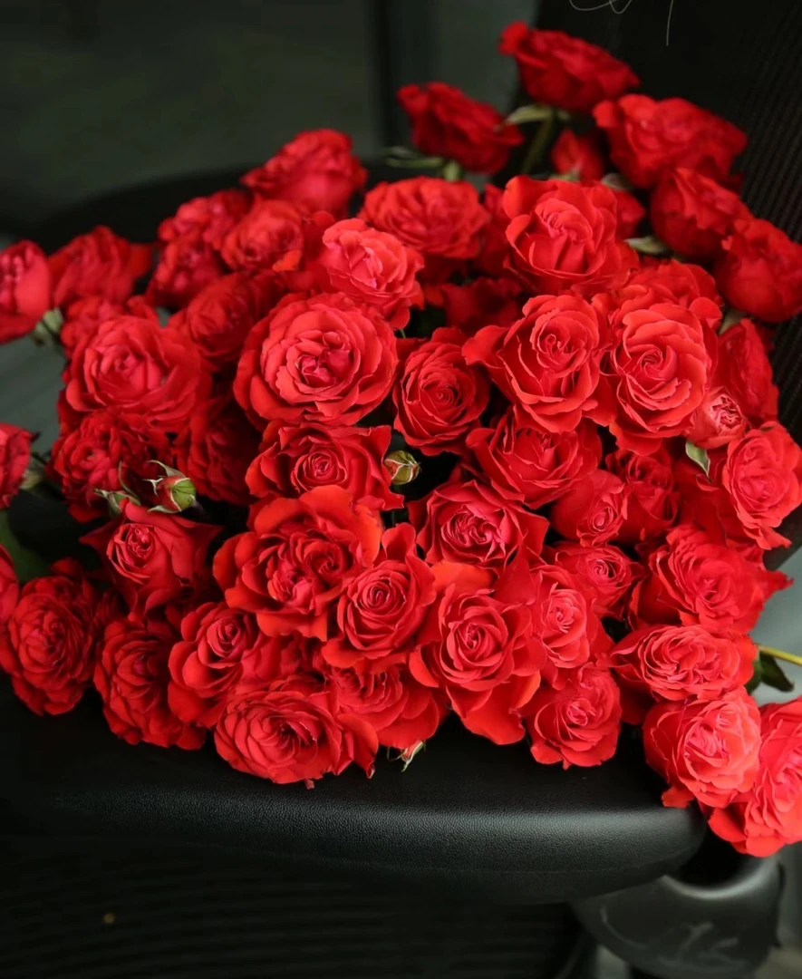 猩红泡泡多头玫瑰云南昆明基地直发新鲜插花家用水养鲜花