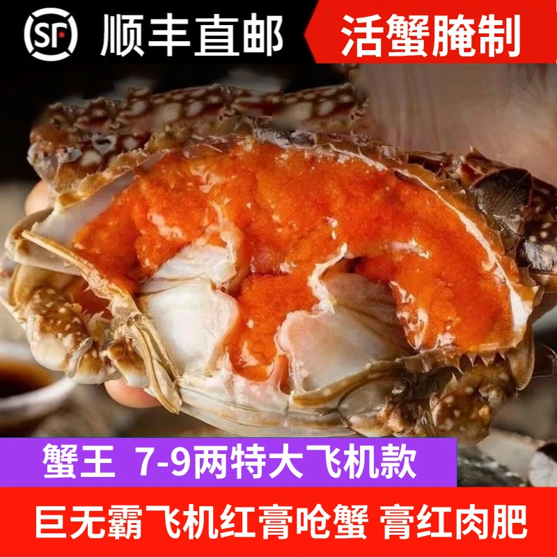 【蟹王飞机】舟山巨无霸飞机红膏呛蟹7-9两/只 咸蟹 生吃不可蒸煮