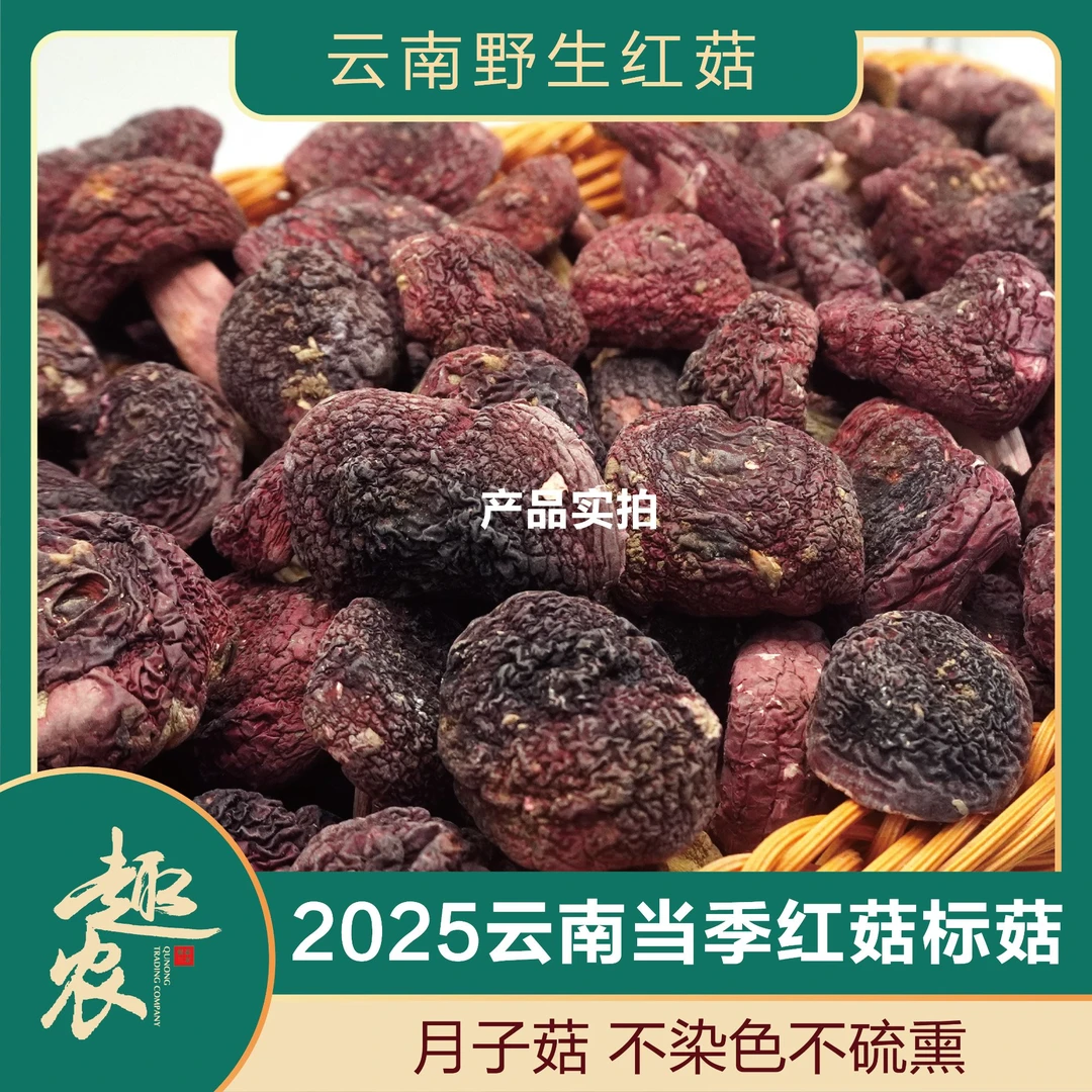 【云南标菇3-5cm】2025当季野生蓝底红菇月子菇不染色特产原产地