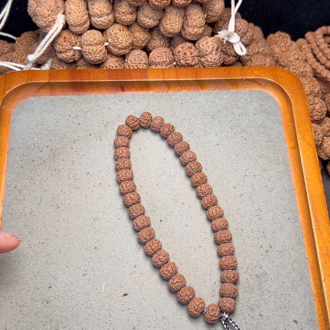 开***儿菩提35号金刚菩提树王