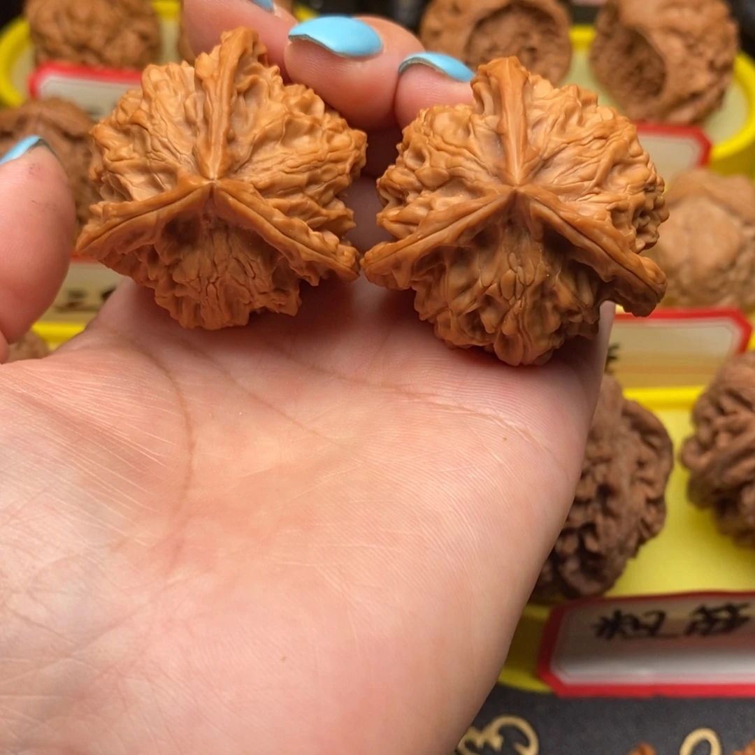 火***子菩提籽类盘山三棱