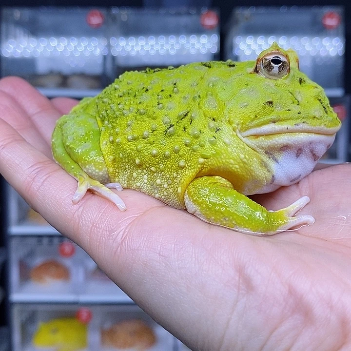 特价秒杀现货特价
