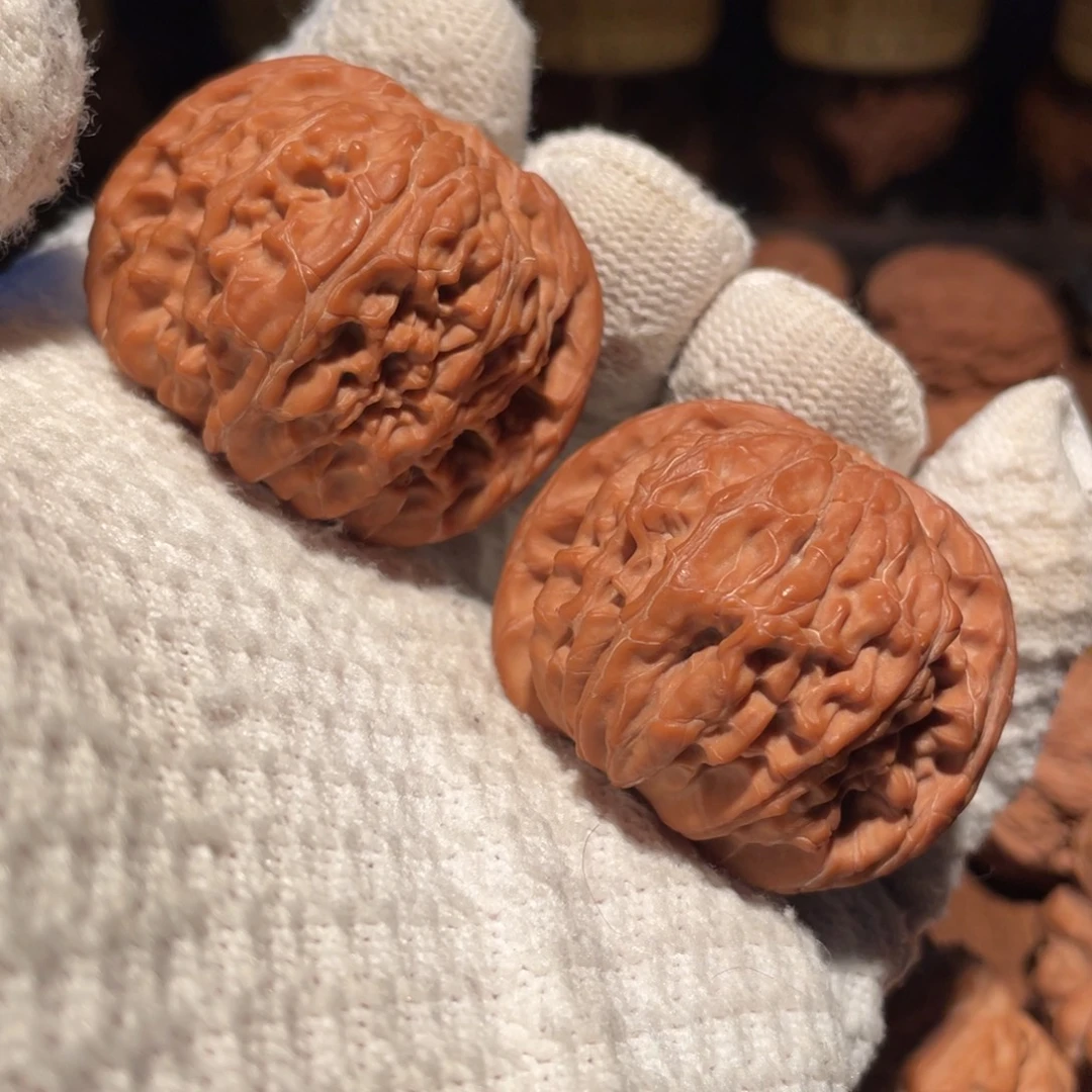 核桃43正磨mmmmmmm