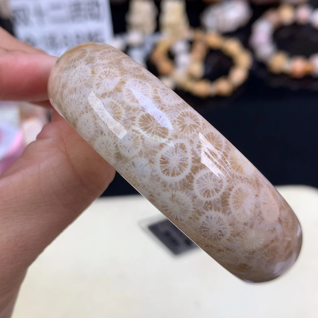 【闪购商品】颈饰未镶嵌硅化珊瑚（珊瑚玉）56号精美手镯56.3圈