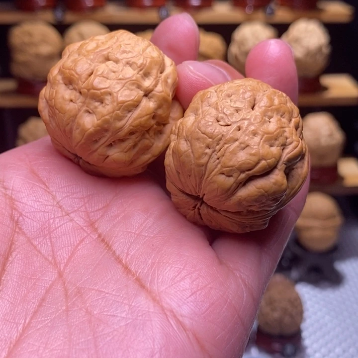 木质类云铁包罗万象51号