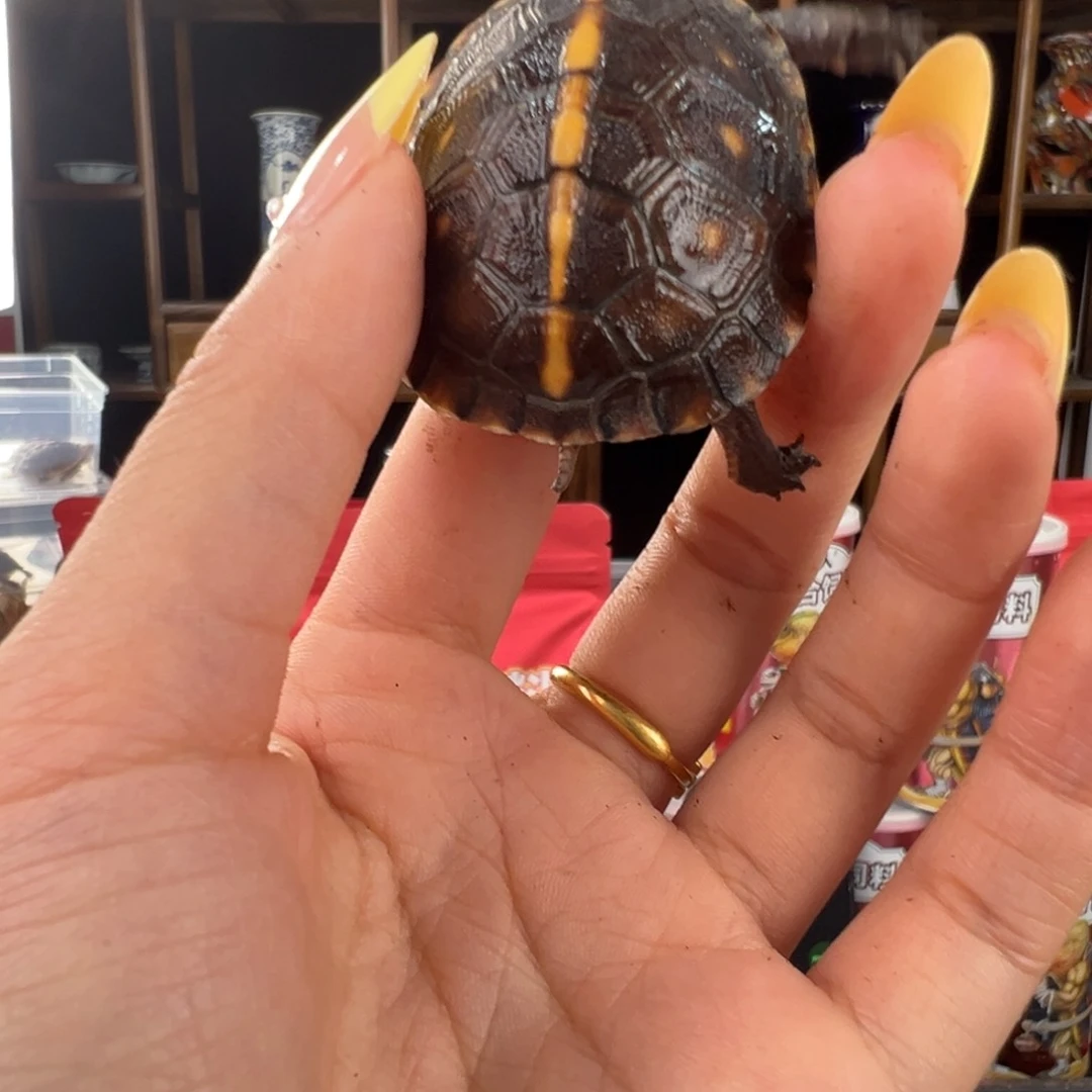 母T****o啦啦啦啦啦啦啦啦