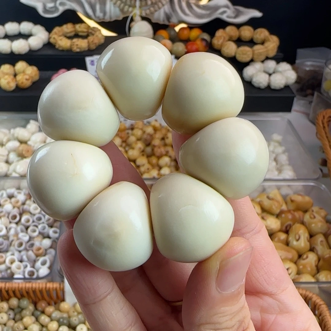 菩提根/象牙果手串瑕疵牙果卡25蒜瓣手捻1个