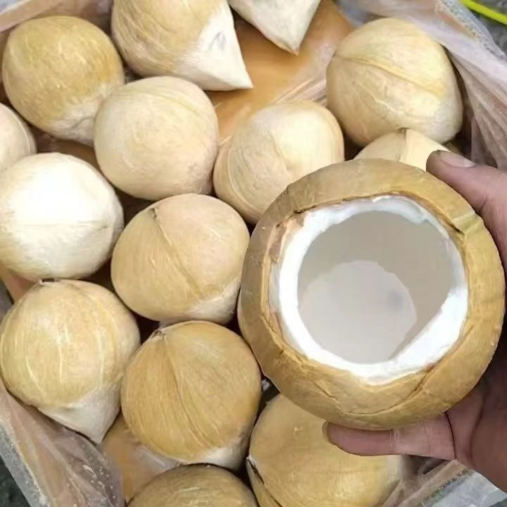 泰国丹嫩沙多核心产区椰皇6-9颗装（400-720g/颗）顺丰包邮