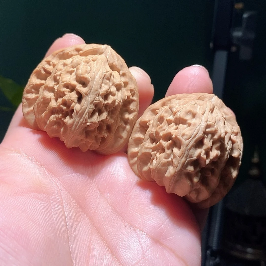 把件文玩核桃43.8三角白全品
