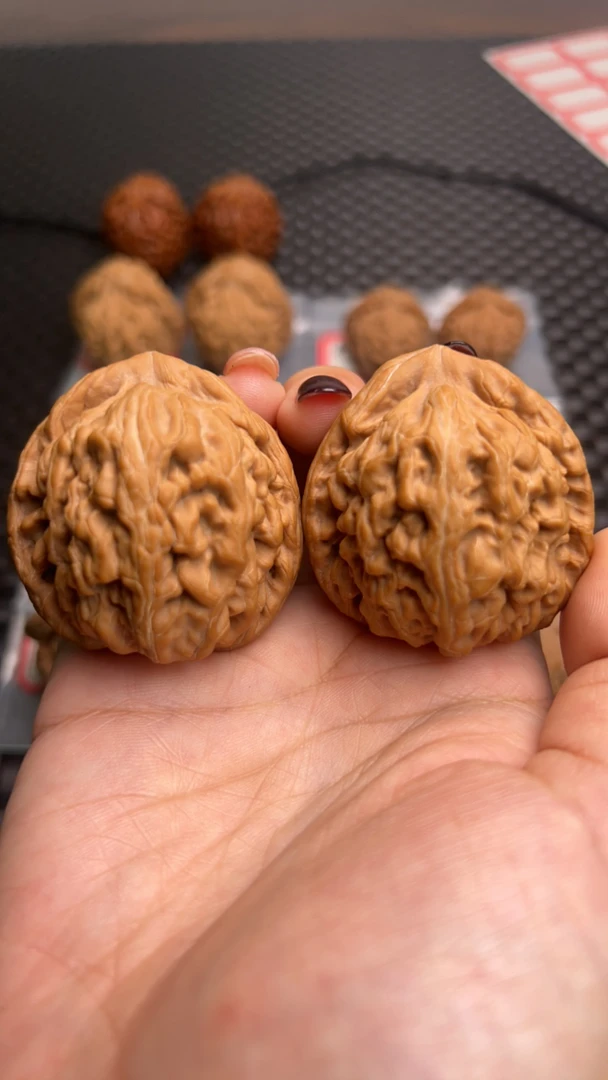 一代红锦鲤45尺红皮果。骨质硬 走色正