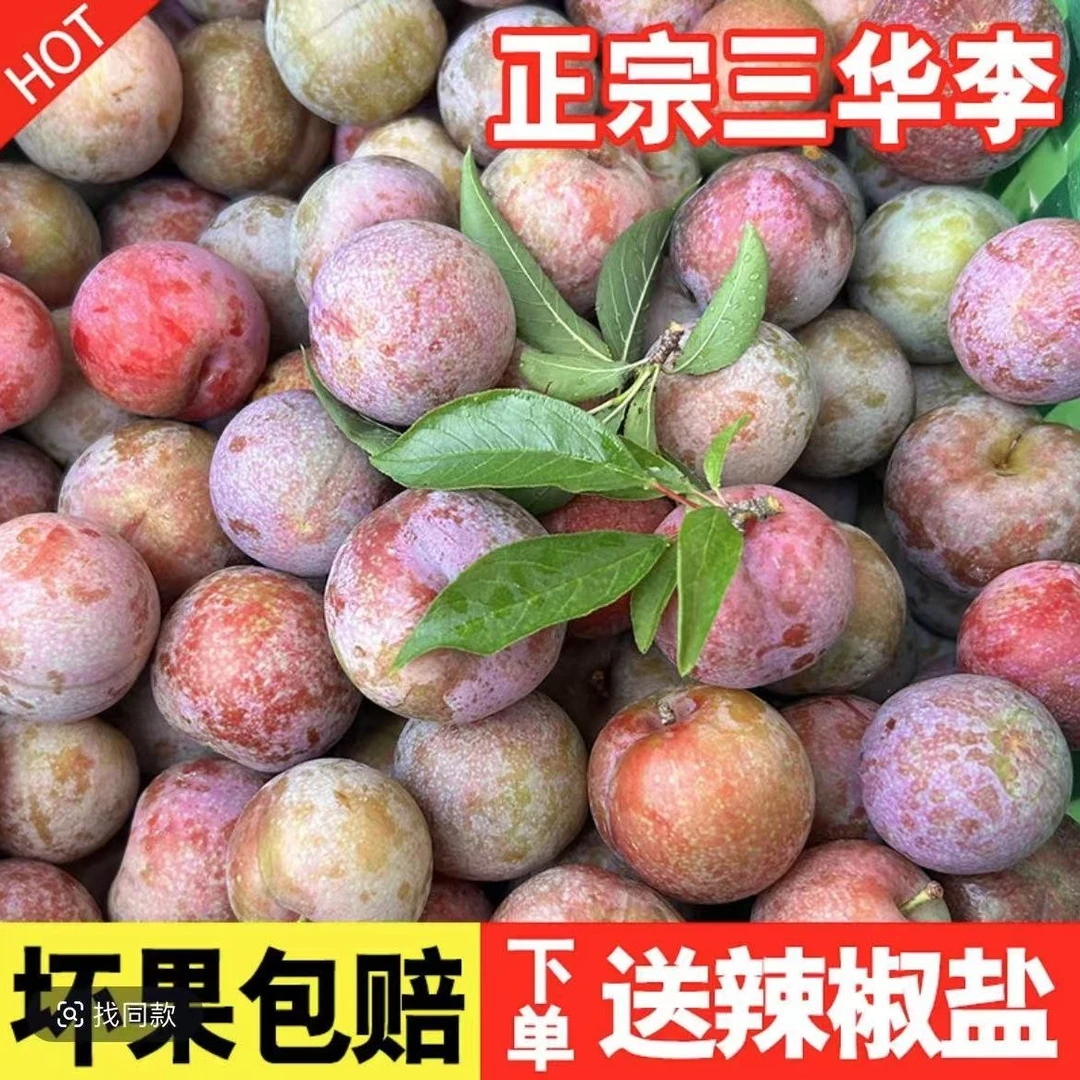 广西新鲜水果当季水果孕妇水果河池天河李子百香果酸甜多汁包邮