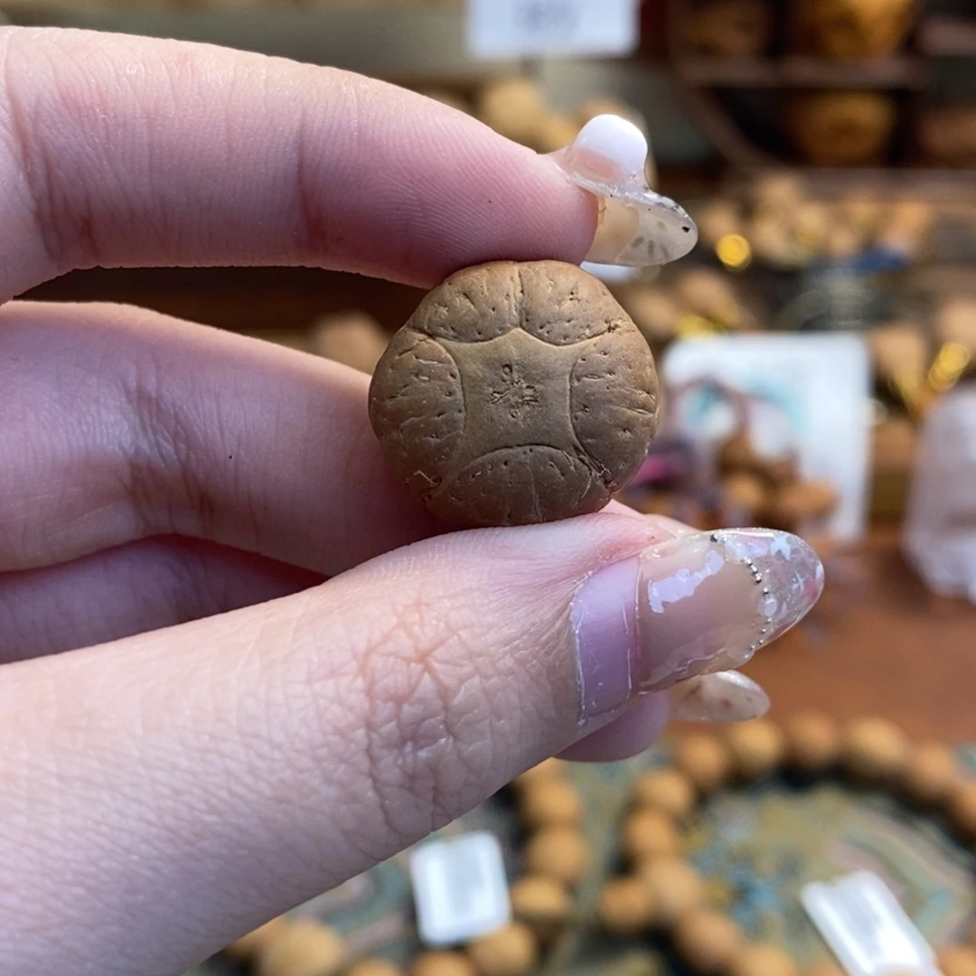 凤眼菩提吊坠五星