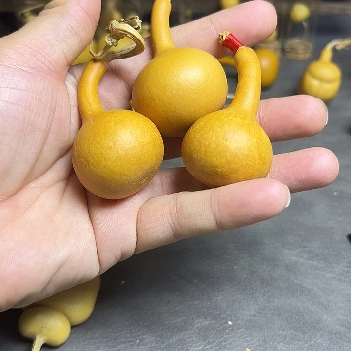 *****小葫芦一物一拍三个
