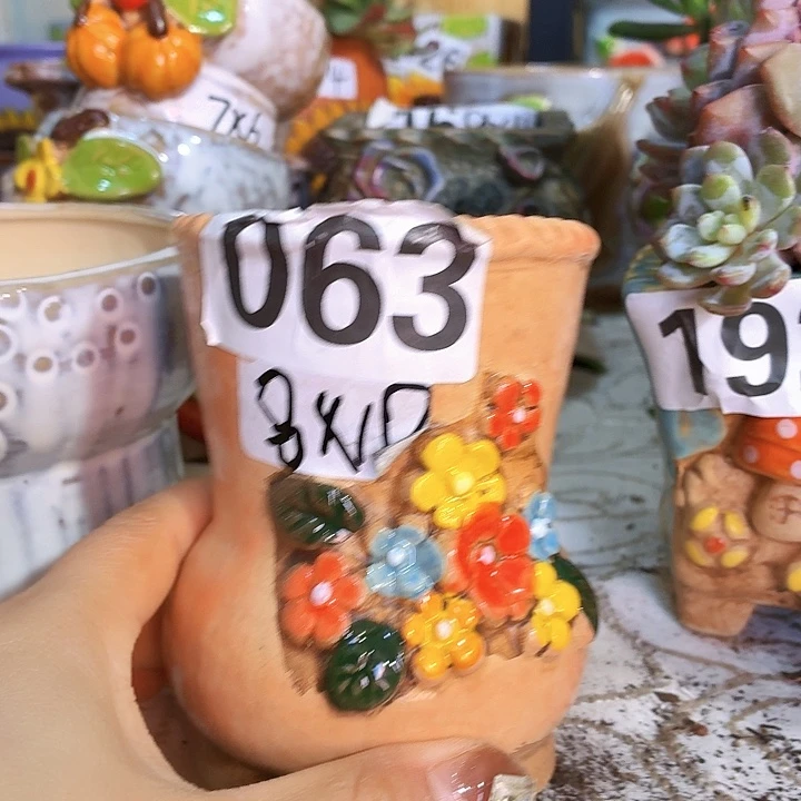 多肉花盆，满15包邮