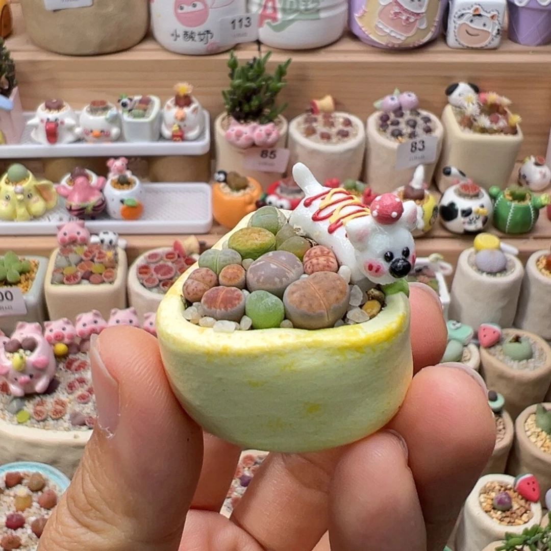 多肉植物118号彩色