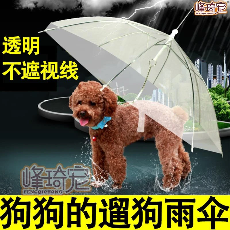 ++宠物狗狗小狗专用透明牵引雨伞下雨天遛狗神器雨衣防雨小型犬用
